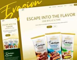 Moment Evasion Landing Page